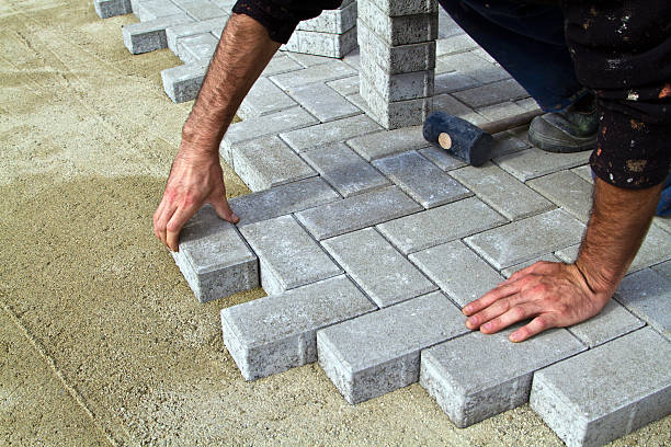 Best Local Driveway Pavers  in Williamsport, MD